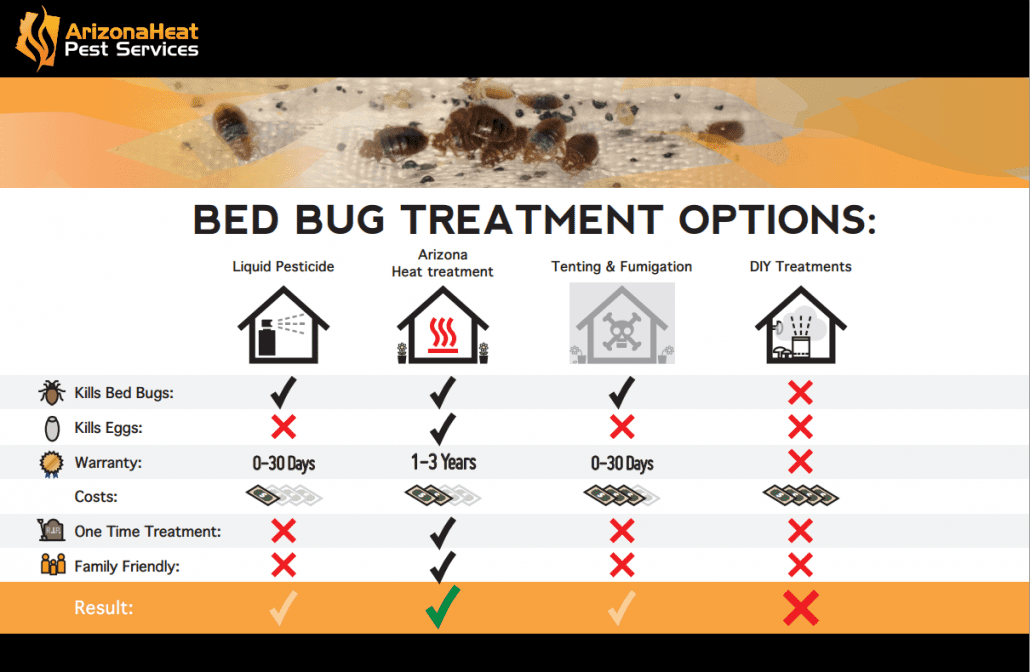 13+ Best Bed Bug Treatment: Bully, Spray, Trap, Powder  