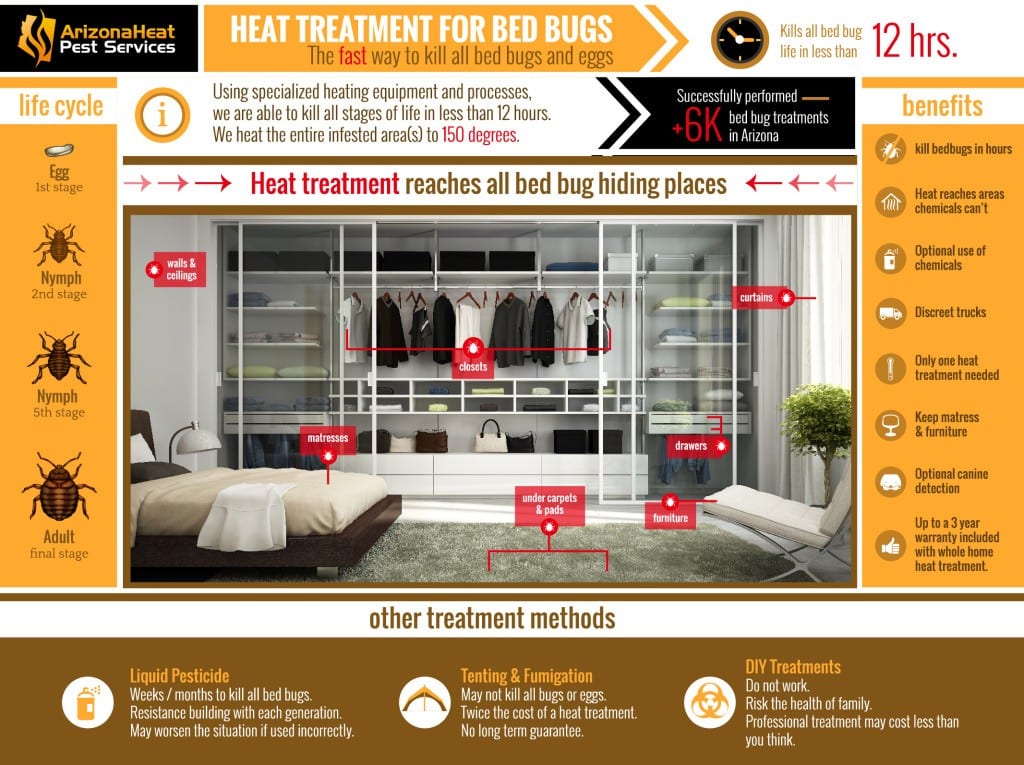 Bed Bug Heat Treatment Infographic
