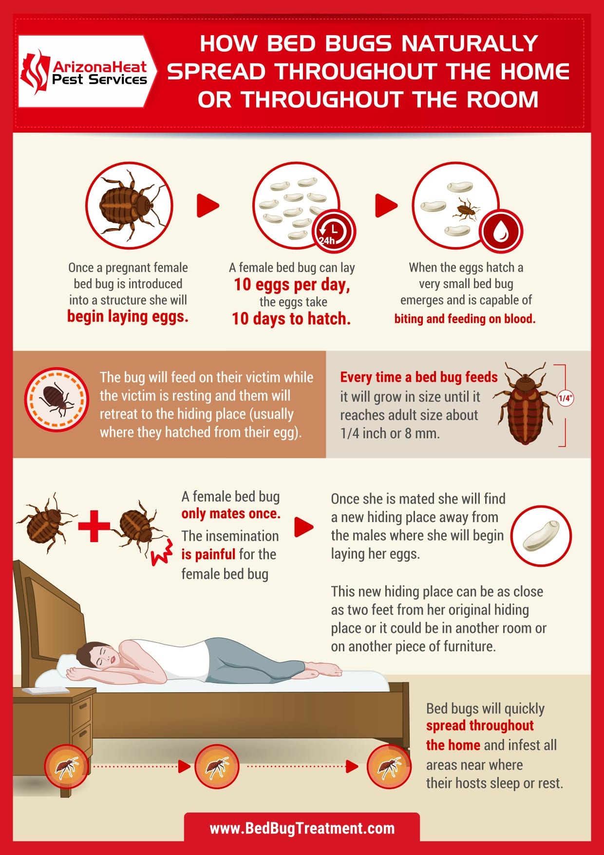 how bed bugs are spreading in mesa arizona