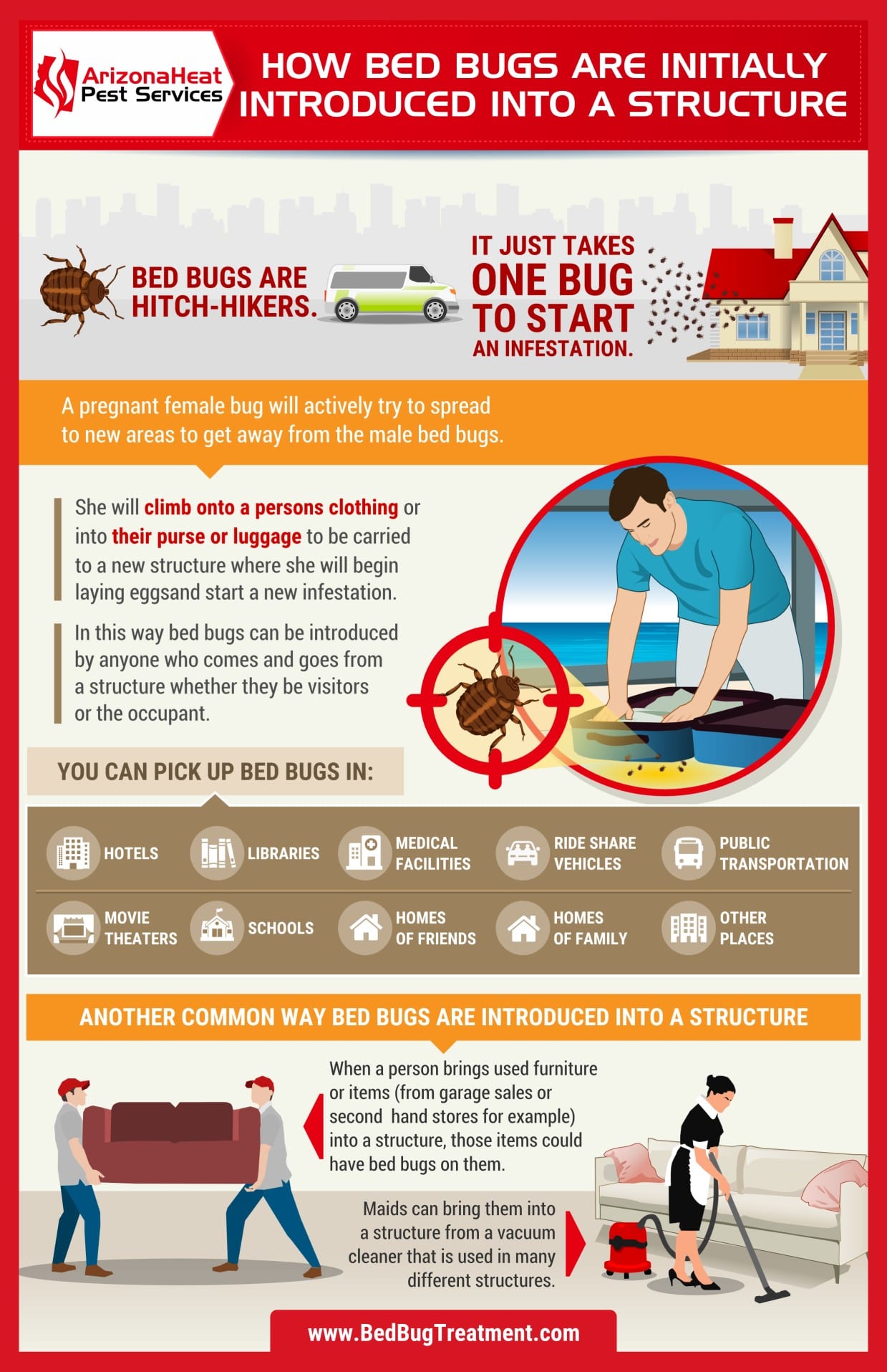 how do you get bed bugs mesa bed bug treatment