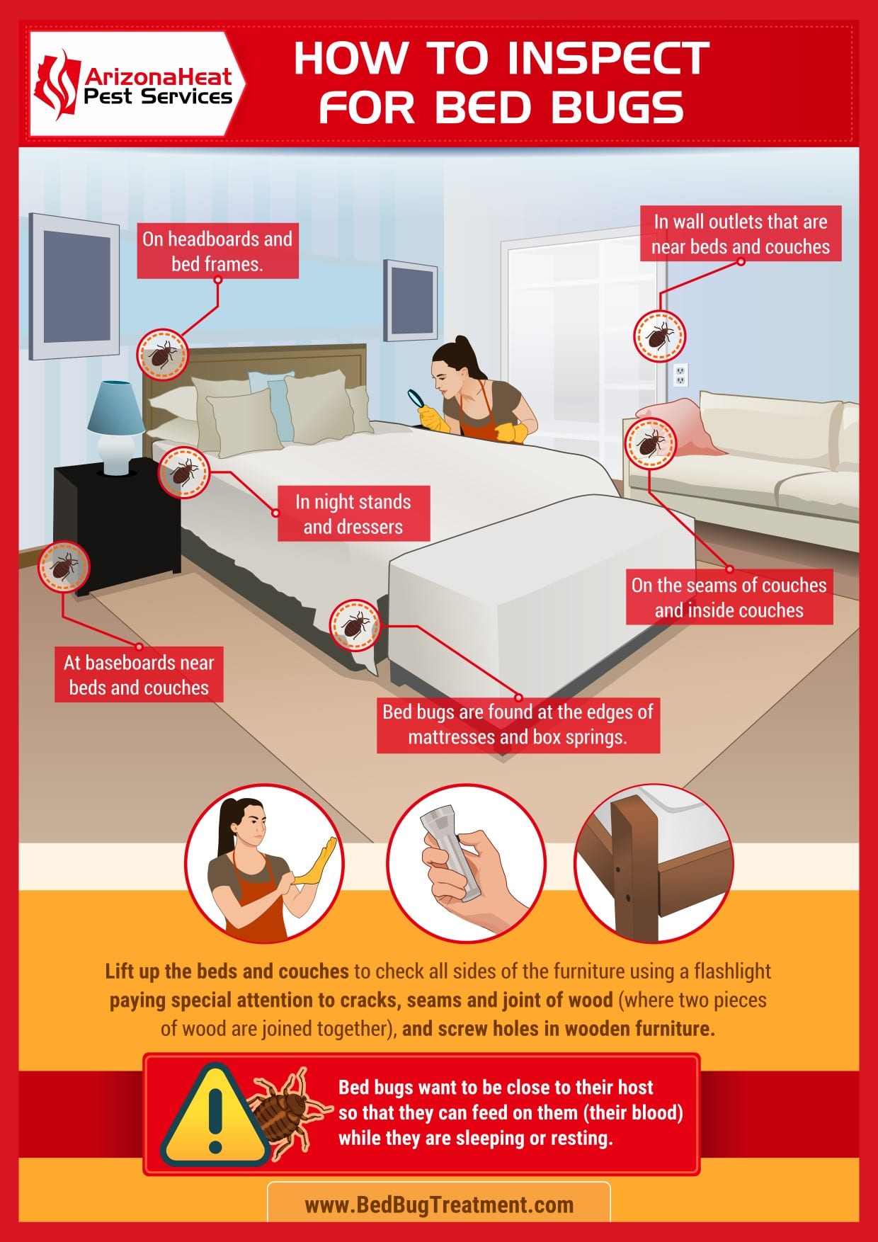 how to inspect for bed bugs infographic by mesa bed bug exterminator