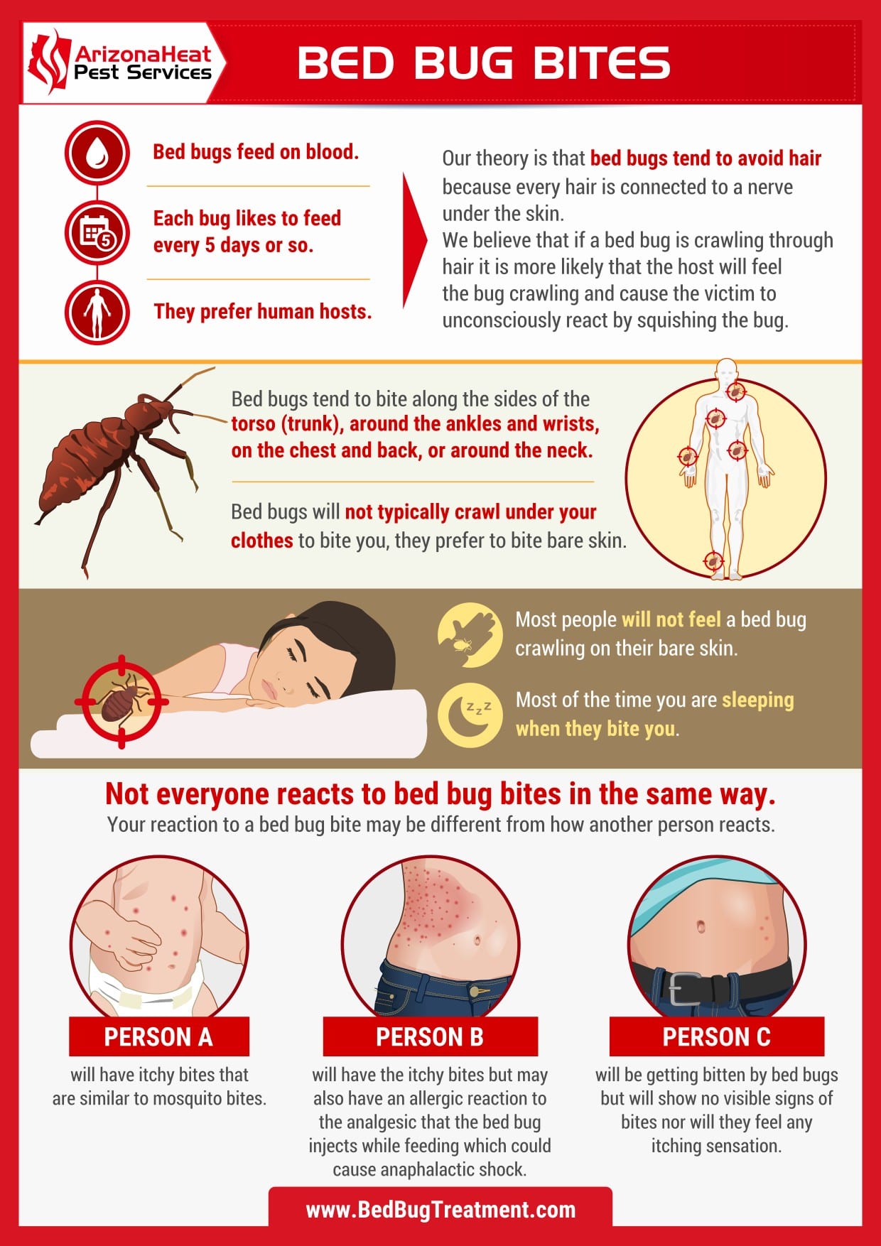 mesa bed bug exterminator explains bed bug bites infographic