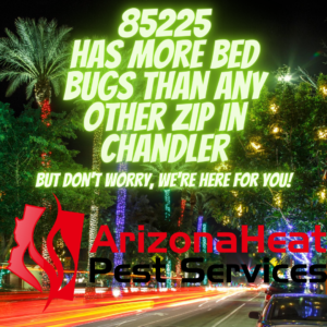 85225 has more bed bugs than any other zip in Chandler AZ